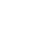 the record co logo